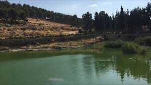 برك سليمان/ أرطاس